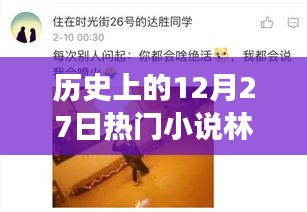 歷史上的12月27日，林天宇與寧麗霞的熱門小說之旅