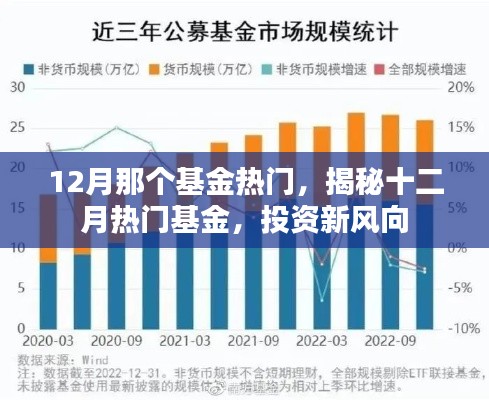 揭秘十二月熱門基金，投資新風(fēng)向，把握最新熱門基金機(jī)會！