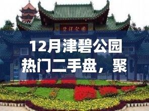 津碧公園熱門二手盤解讀與置業(yè)指南，熱門房源一覽及指南