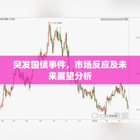 突發(fā)國債事件，市場反應(yīng)及未來展望分析