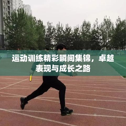 運動訓練精彩瞬間集錦，卓越表現(xiàn)與成長之路
