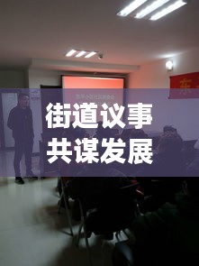 街道議事共謀發(fā)展，共建美好社區(qū)，攜手共創(chuàng)未來(lái)