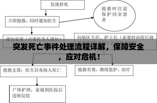 突發(fā)死亡事件處理流程詳解，保障安全，應(yīng)對(duì)危機(jī)！