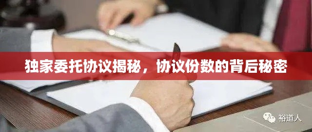 獨(dú)家委托協(xié)議揭秘，協(xié)議份數(shù)的背后秘密