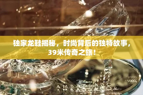 獨(dú)家龍鞋揭秘，時(shí)尚背后的獨(dú)特故事，39米傳奇之旅！