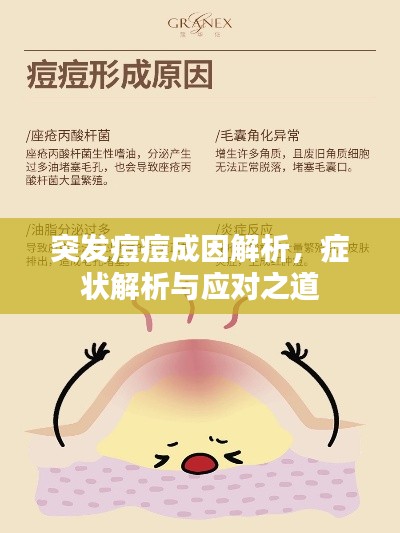 突發(fā)痘痘成因解析，癥狀解析與應(yīng)對(duì)之道