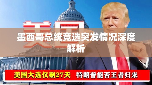 墨西哥總統(tǒng)競(jìng)選突發(fā)情況深度解析