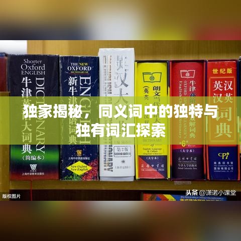獨(dú)家揭秘，同義詞中的獨(dú)特與獨(dú)有詞匯探索
