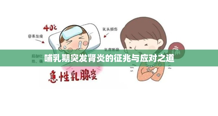 哺乳期突發(fā)腎炎的征兆與應(yīng)對之道