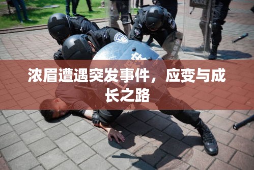 濃眉遭遇突發(fā)事件，應變與成長之路
