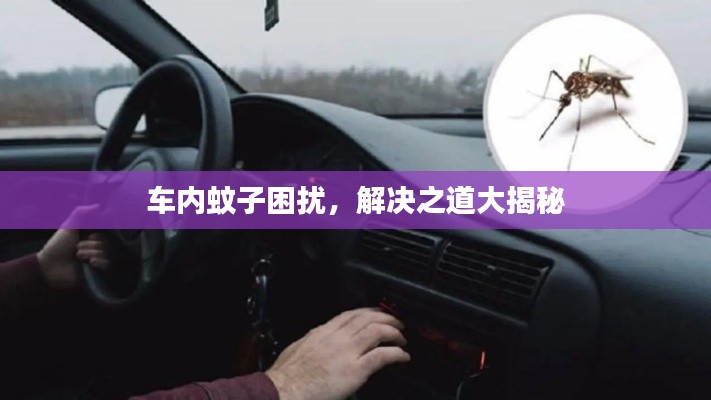 車(chē)內(nèi)蚊子困擾，解決之道大揭秘