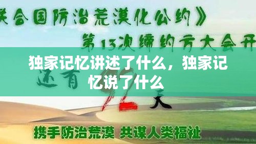 獨(dú)家記憶講述了什么，獨(dú)家記憶說了什么 