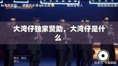 大灣仔獨家贊助，大灣仔是什么 