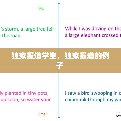 獨(dú)家報(bào)道學(xué)生，獨(dú)家報(bào)道的例子 
