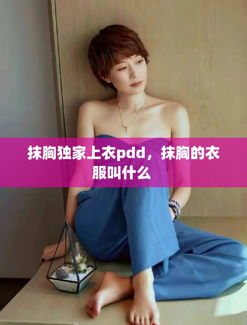 抹胸獨(dú)家上衣pdd，抹胸的衣服叫什么 