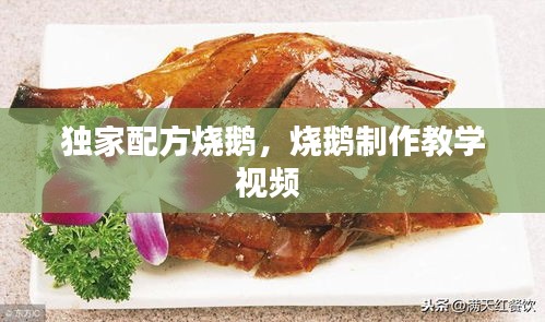獨(dú)家配方燒鵝，燒鵝制作教學(xué)視頻 