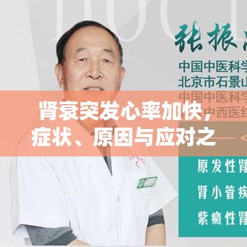 腎衰突發(fā)心率加快，癥狀、原因與應(yīng)對之策