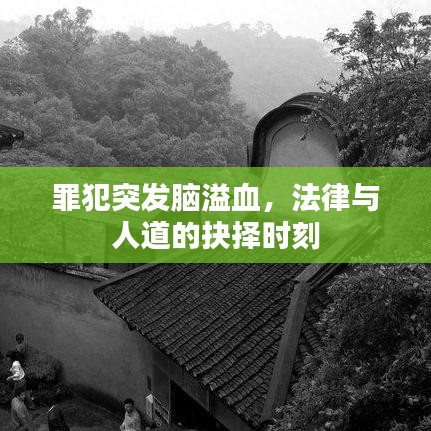 罪犯突發(fā)腦溢血，法律與人道的抉擇時(shí)刻