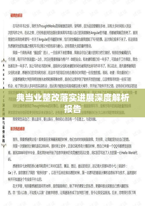 典當(dāng)業(yè)整改落實(shí)進(jìn)展深度解析報(bào)告