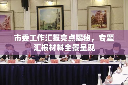 市委工作匯報亮點(diǎn)揭秘，專題匯報材料全景呈現(xiàn)