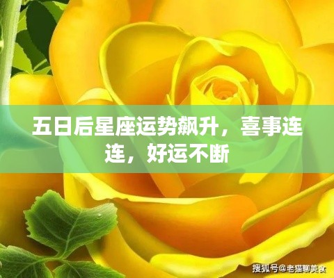 五日后星座運勢飆升，喜事連連，好運不斷