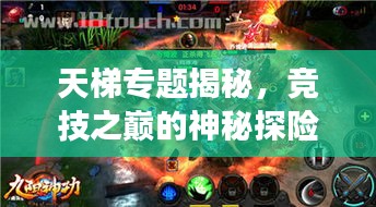 天梯專題揭秘，競(jìng)技之巔的神秘探險(xiǎn)之旅