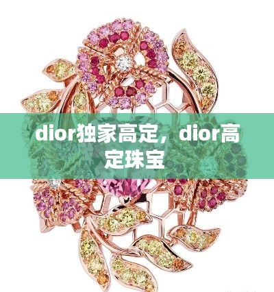 dior獨(dú)家高定，dior高定珠寶 