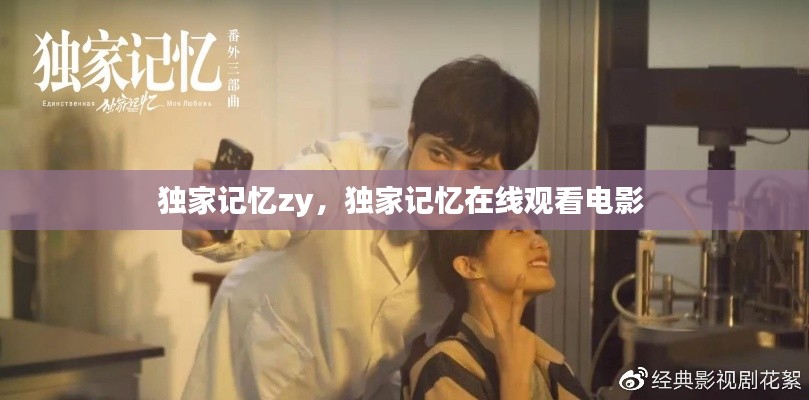 獨(dú)家記憶zy，獨(dú)家記憶在線觀看電影 