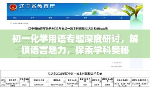 初一化學用語專題深度研討，解鎖語言魅力，探索學科奧秘