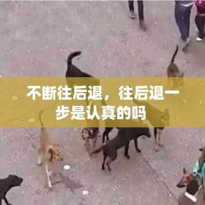 不斷往后退，往后退一步是認(rèn)真的嗎 