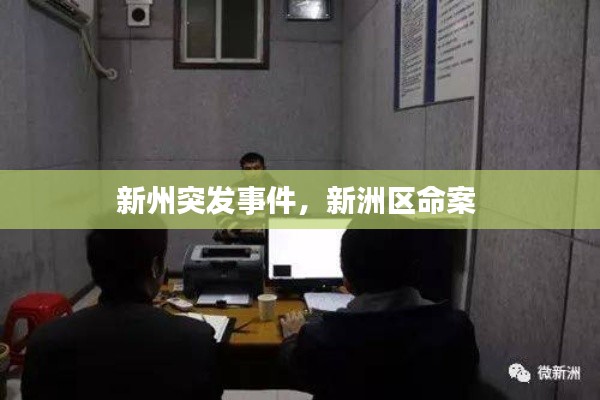 新州突發(fā)事件，新洲區(qū)命案 