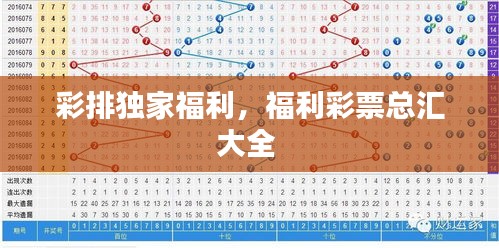 彩排獨(dú)家福利，福利彩票總匯大全 