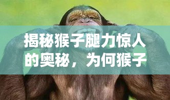 花香鳥語(yǔ) 第2頁(yè)