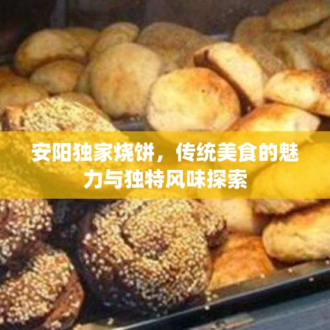 安陽獨(dú)家燒餅，傳統(tǒng)美食的魅力與獨(dú)特風(fēng)味探索
