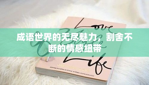 成語世界的無盡魅力，割舍不斷的情感紐帶