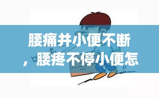 腰痛并小便不斷，腰疼不停小便怎么回事 