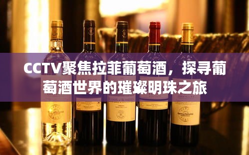 CCTV聚焦拉菲葡萄酒，探尋葡萄酒世界的璀璨明珠之旅