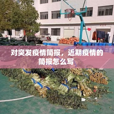 對突發(fā)疫情簡報(bào)，近期疫情的簡報(bào)怎么寫 