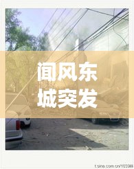 聞風(fēng)東城突發(fā)，聞風(fēng)東城突發(fā)疫情事件 