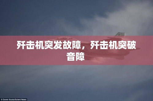 夯雀兒先飛 第2頁(yè)