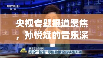 央視專題報(bào)道聚焦，孫悅斌的音樂深度之旅