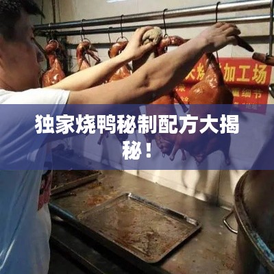 獨(dú)家燒鴨秘制配方大揭秘！