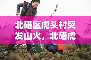 羅含夢鳥 第2頁