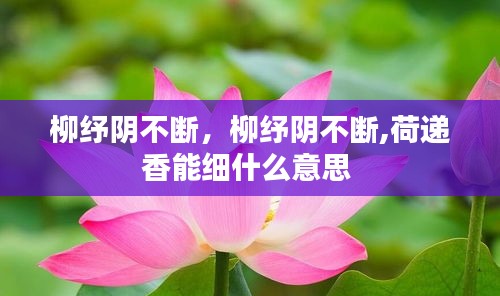 柳紓陰不斷，柳紓陰不斷,荷遞香能細什么意思 