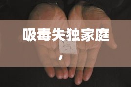 吸毒失獨(dú)家庭， 