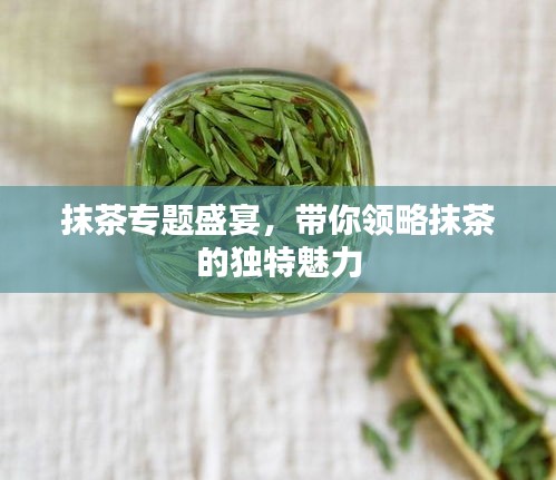 抹茶專題盛宴，帶你領略抹茶的獨特魅力
