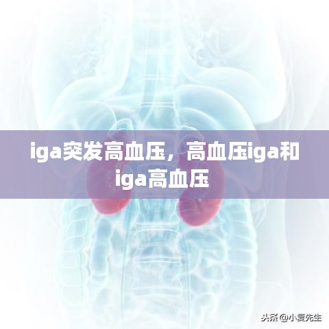iga突發(fā)高血壓，高血壓iga和iga高血壓 