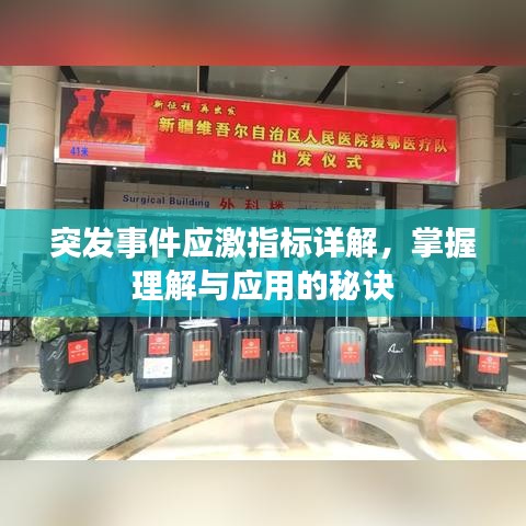 突發(fā)事件應激指標詳解，掌握理解與應用的秘訣