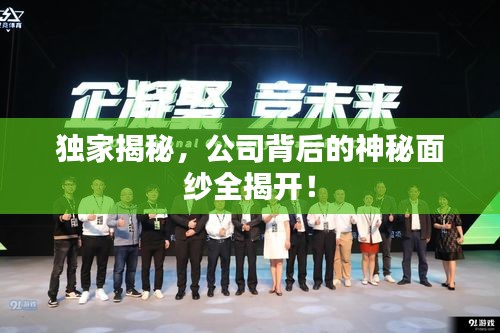獨家揭秘，公司背后的神秘面紗全揭開！