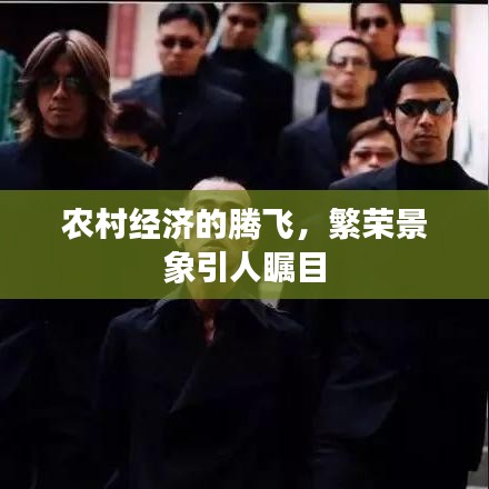 農(nóng)村經(jīng)濟的騰飛，繁榮景象引人矚目